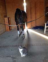 Geyser and his Kitty