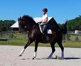 Geyser Lead Changes at home