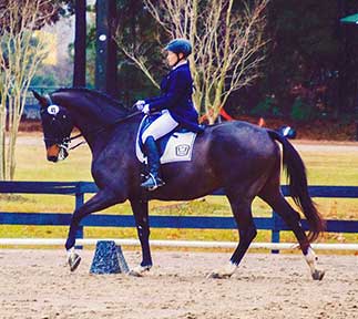 Geyser at the Show with Susan Todd