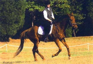 Jeanette Maybin on Scrappy, Student